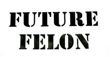 future felon