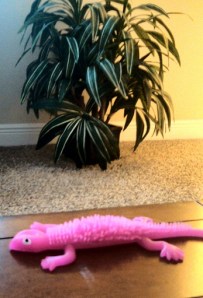 pink lizard